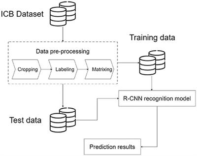 Integrated Circuit Board Object Detection and Image Augmentation Fusion Model Based on YOLO